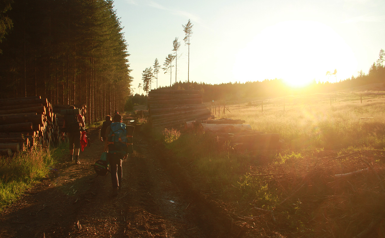 Západ slunce v lesích nad <a href="/Tema/Staré Město pod Landštejnem">Starým Městem</a> ale pod Landštejnem.