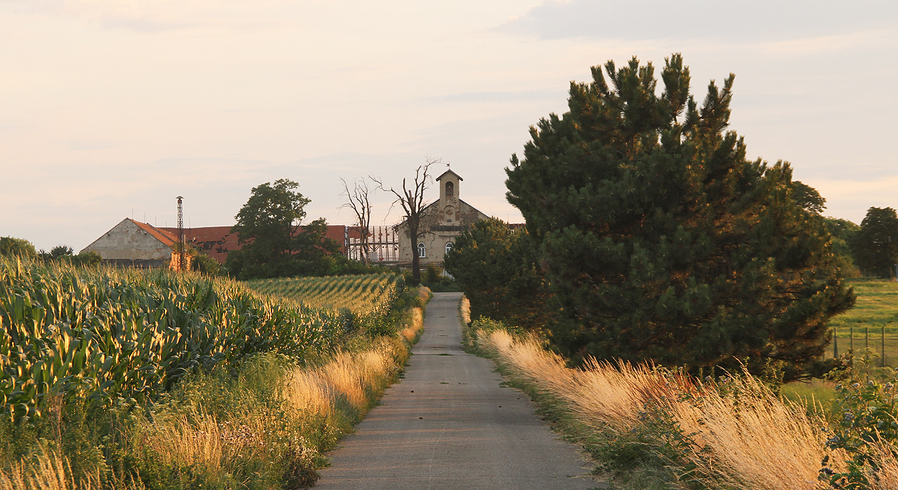 Příjezdová cesta k Wladimirowu vede prakticky pouze od Sokolnic. Ze strany od Brna se sem přes pole dostává velmi obtížně.