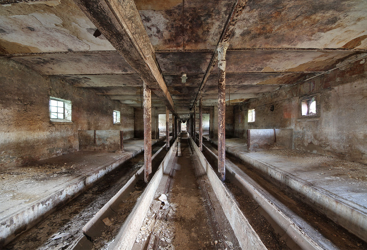 Neumíme rozpoznat, jaké zvířectvo se v chlévech chovalo, snad to byly kravíny nebo vepříny. V roce 1851 tu ale klidně mohly žít také ovce, protože Brno bylo vlnařským centrem.