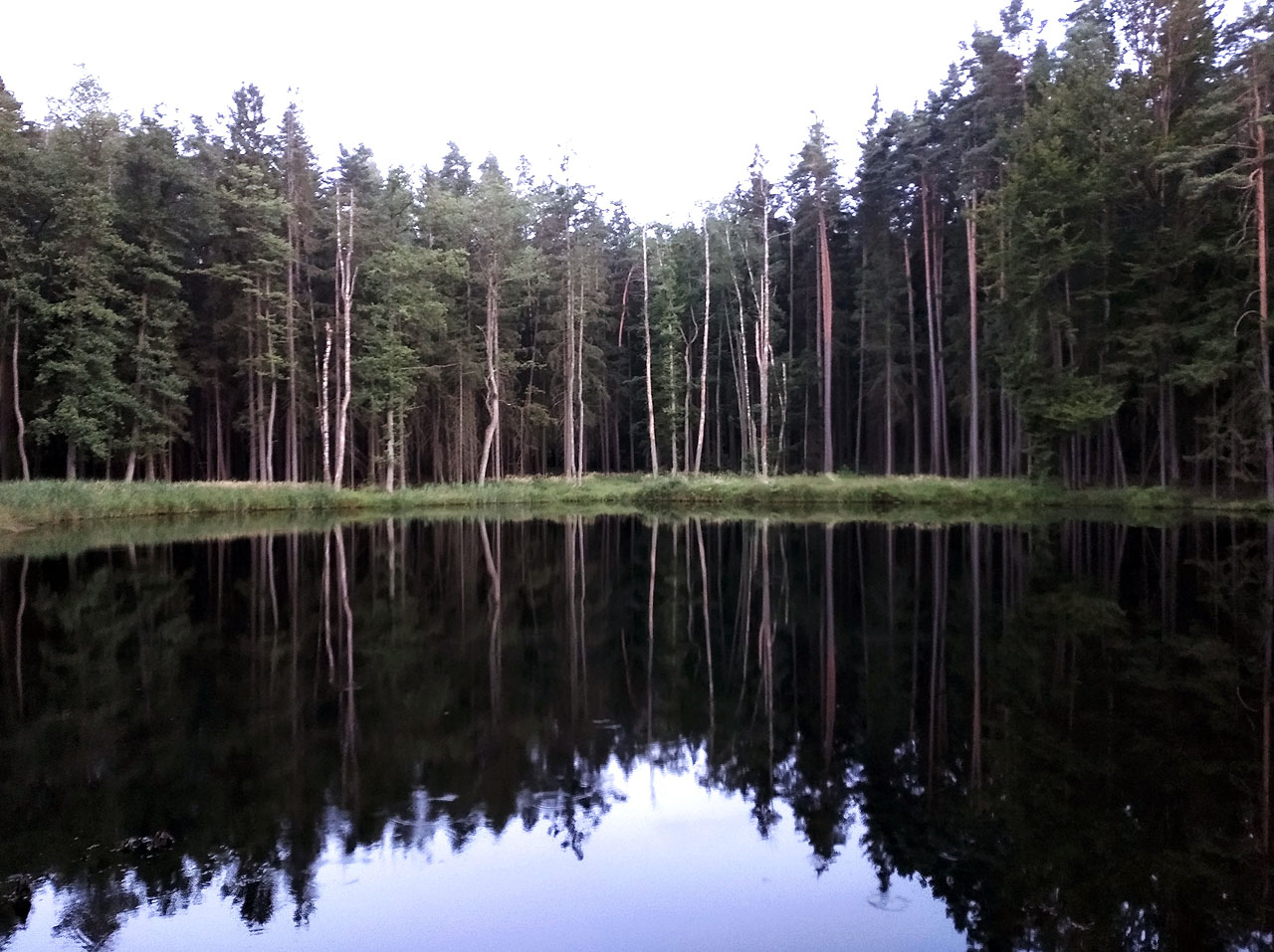Milan je, stejně jako já, nadšený do přírodního koupání. Neděli jsme proto po přespání v lese zahájili uprostřed hlubokých hvozdů koupelí v Zemanově rybníce u Kardašovy Řečice.