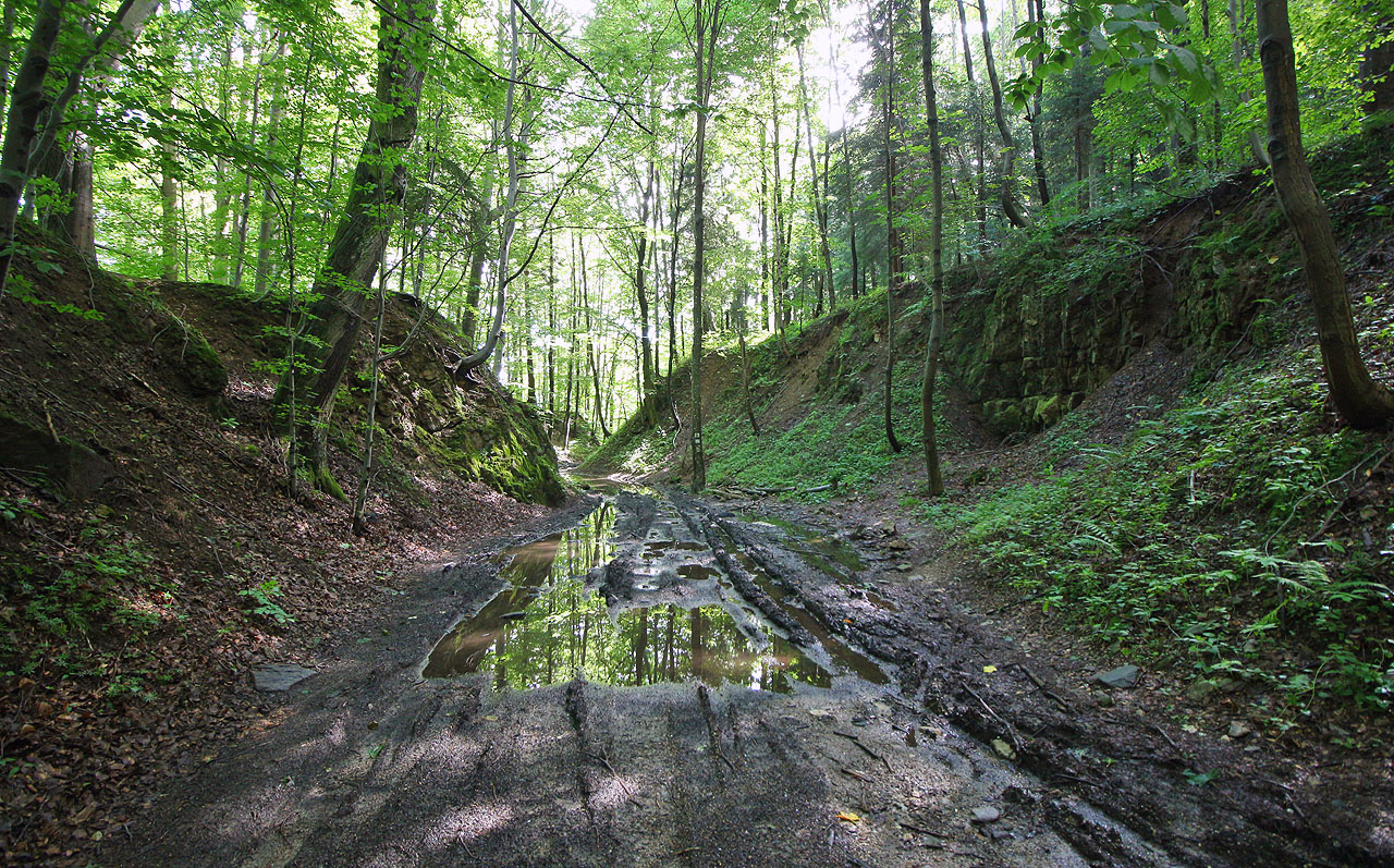 V noci nás potrápial v děravém přístřešku bouře, ale ráno už jsme si to vykračovali kowarskými lesy k sedlu pěkně na po sluníčku, které vysoušelo loužičky.