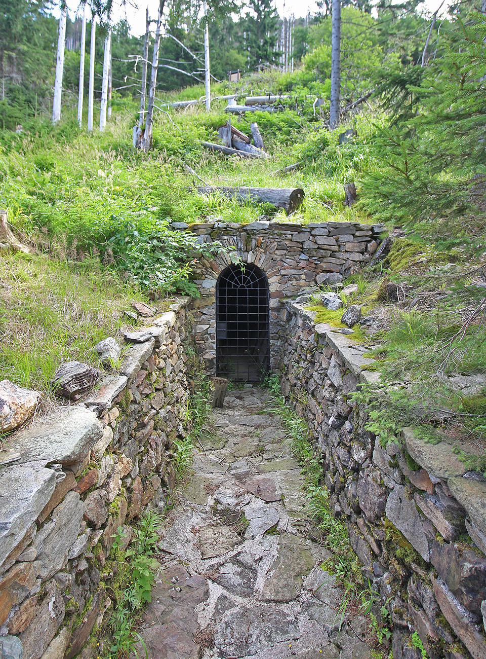 Štola byla zamknutá, ale to nás tak docela neodradilo od hledání jiných pozůstatků zdejších dolů. Pod zemí tu vede pěkných pár kilometrů chodeb.