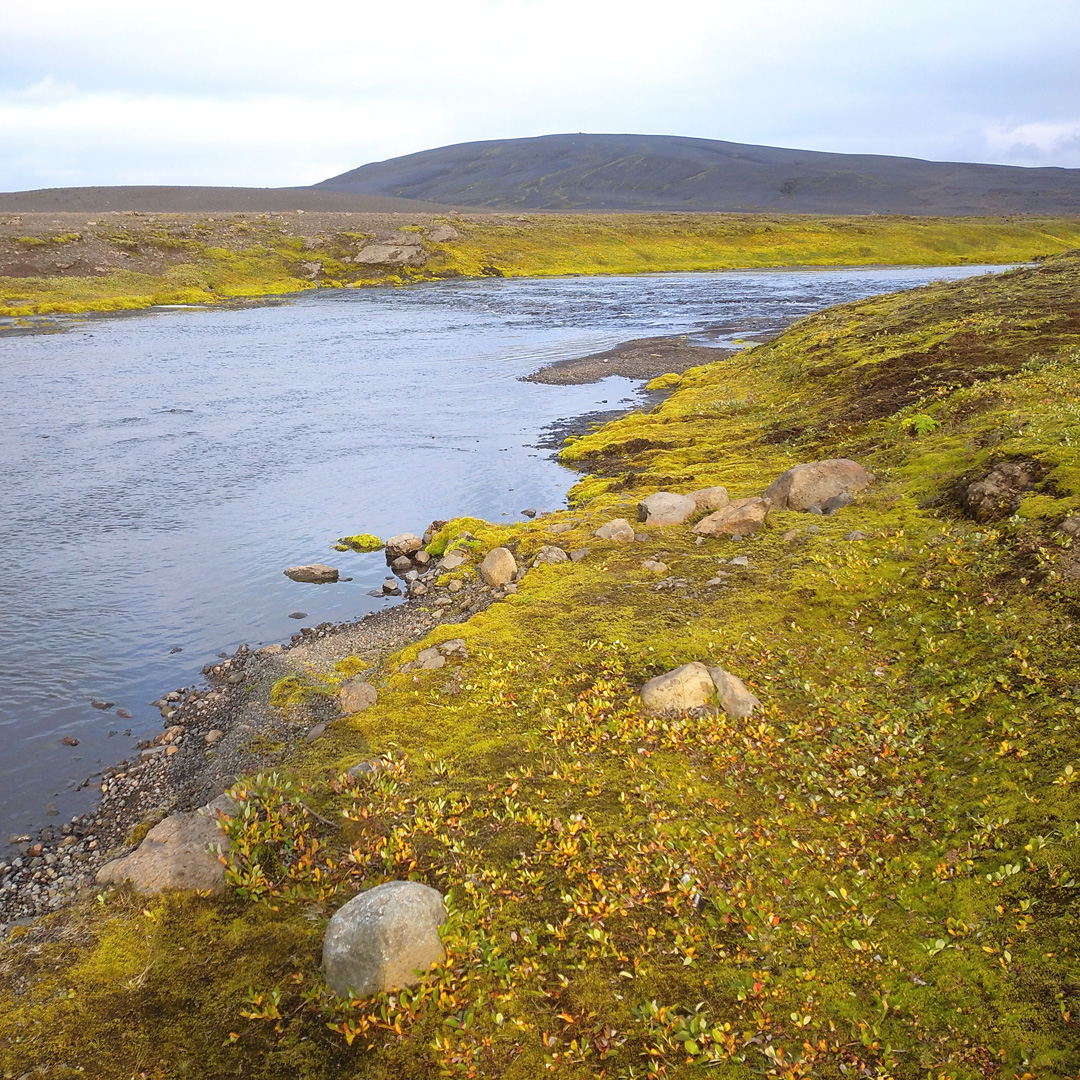 Osmý den a první <s>travička</s> rostlinky na břehu řeky.