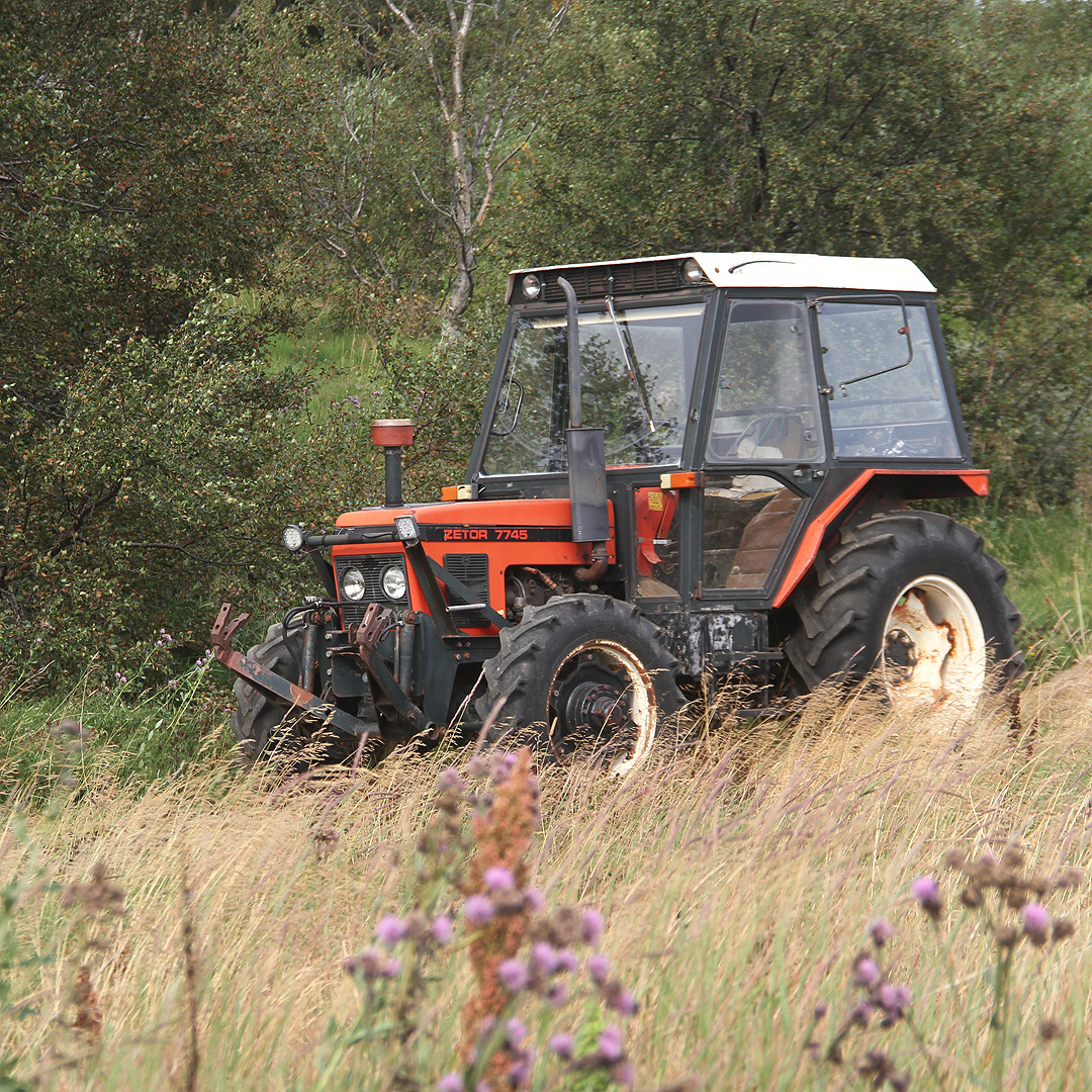 Třetí den cesty: pomalu stoupáme údolím říčky Eyjafjarðará. K našemu překvapení i zde, na severní straně ostrova, existuje jakési zemědělství a nejoblíbenější značkou traktoru je tu brněnský Zetor.