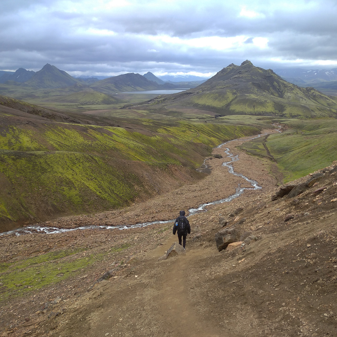 Ráno dvanáctého dne se krajina konečně opět zazelenala. Blížíme se k jižnímu pobřeží.