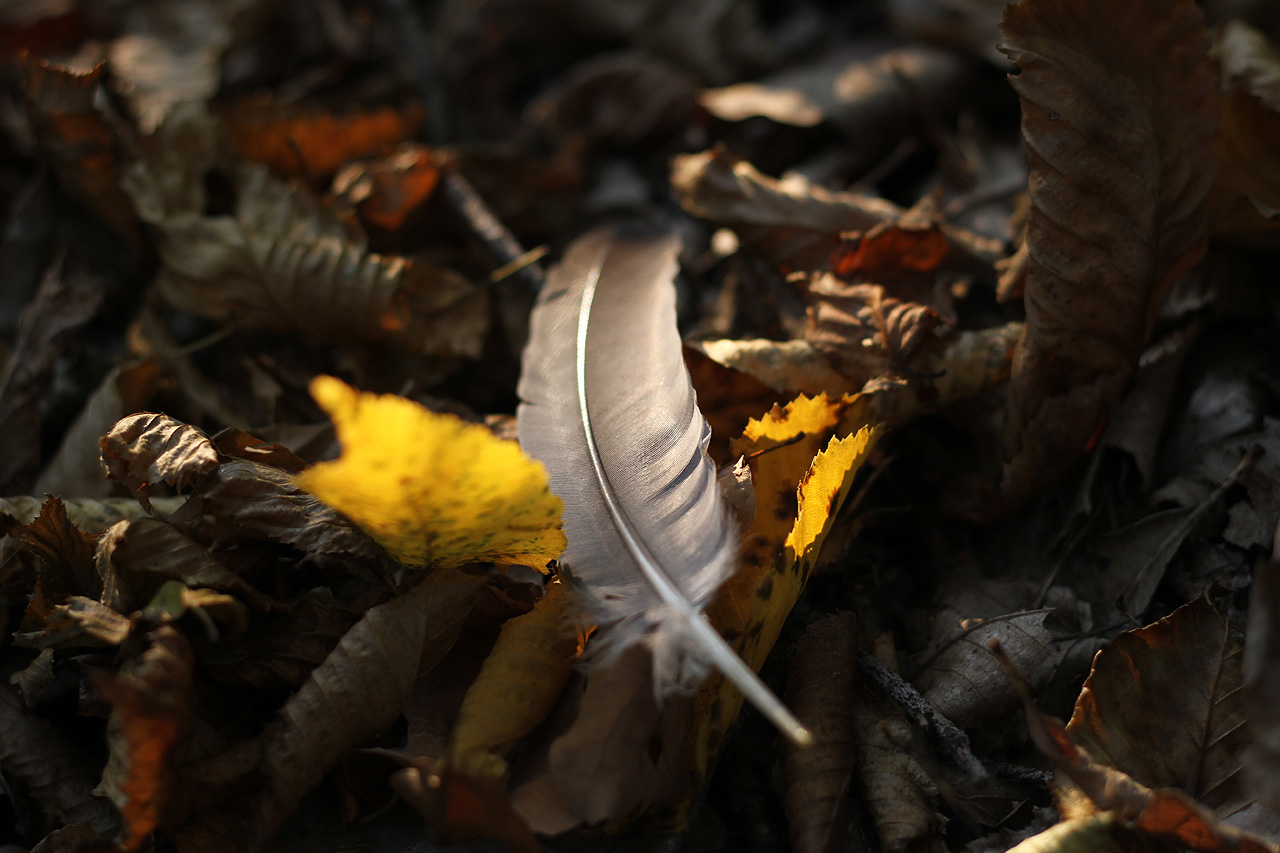 V neděli ještě pár okamžiků na osobní rozloučení se s odcházejícím krásným létem roku 2021.