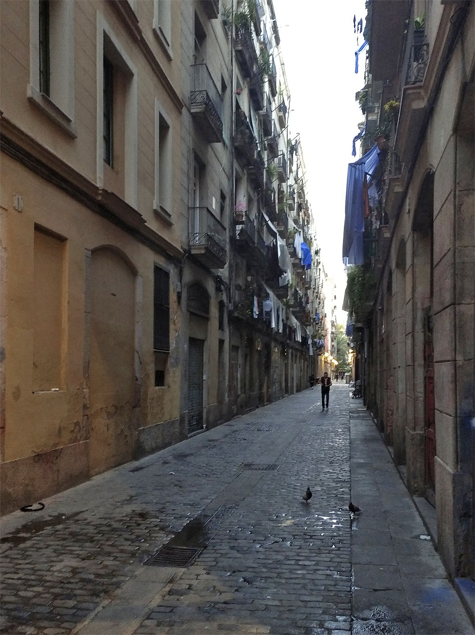 Fakt, že je lokalita blízko centra, se může zdát výhodný, ve skutečnosti jsou ale staré uličky stinné, vlhké, občas páchnou a je v nich docela hluk.