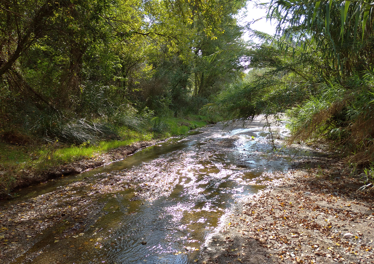 Prvním náročným přechodem hřebene, kdy se ze mě pot lil bylo překročení silnice mzei Rubí a Ullastrellem. Propotil jsem triko, odměnou mě nicméně byla krásná říčky de Gaià.