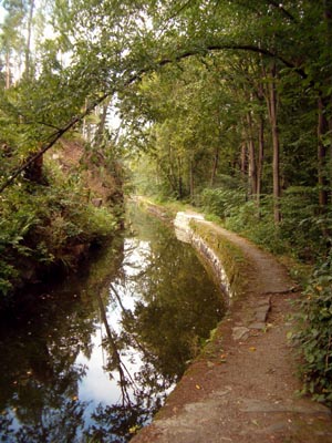 Slezsko s Bantem 2007