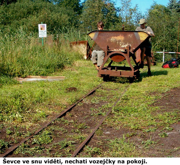 Ševce ve snu viděti, nechati vozejčky na pokoji.
