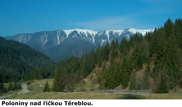 Poloniny nad říčkou Těreblou