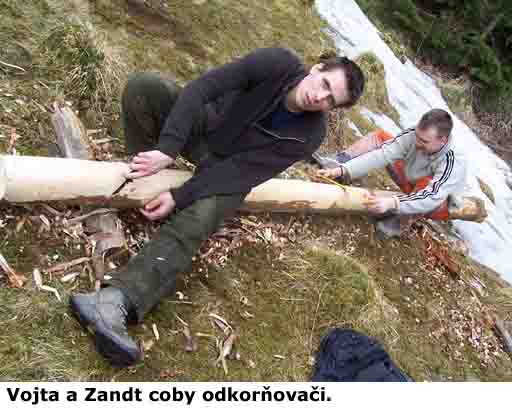 Vojta a Zandt coby odkorňovači.