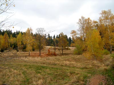 Poslední pozdravy podzimu roku 2008.