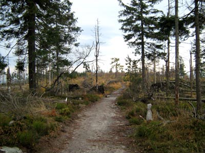 Góry Stołowe jsou opravdové hory.