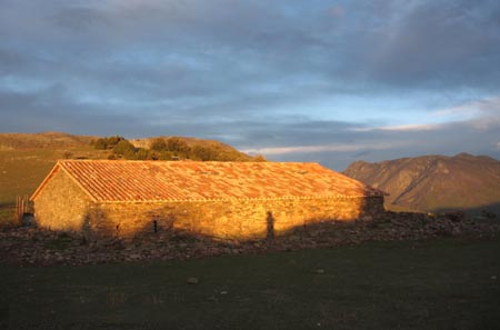 Zablešený ovčinec.
