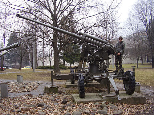 Slavík v muzeu SNP.