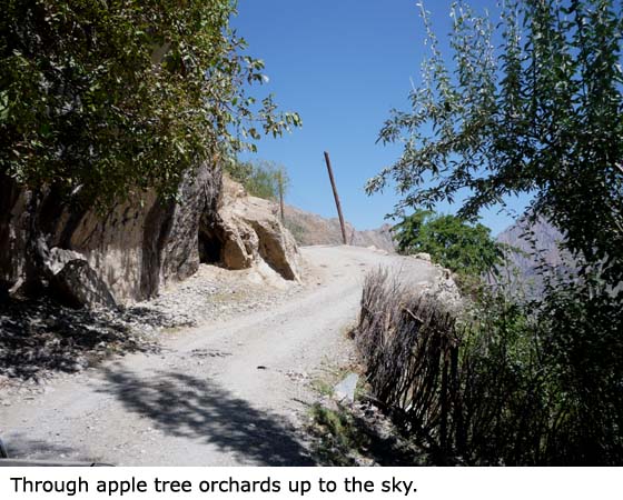 Jabloňovými sady vzhůru do nebes.