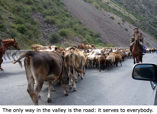 Jedinou cestou v údolí je silnice: slouží všem a ke všemu.