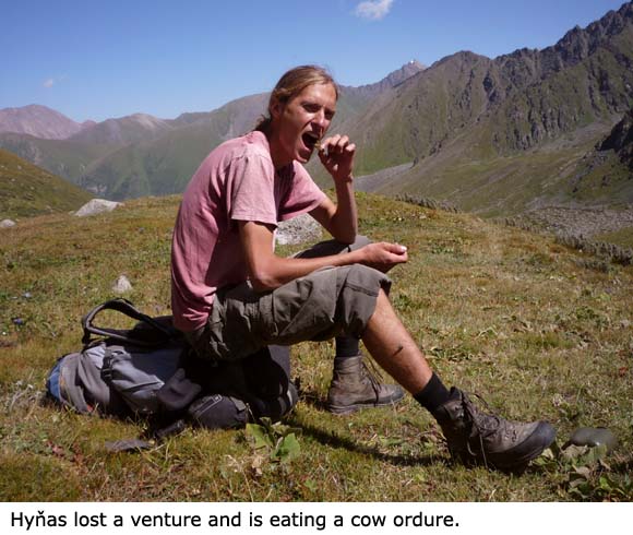 Hyňas prohrál sázku a cpe se kravským lejnem.