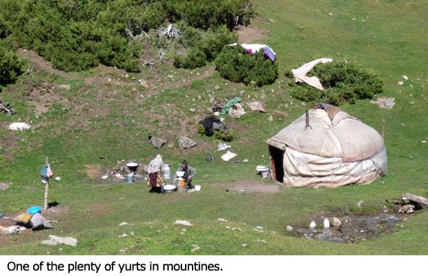 Jedna z mnoha jurt rozesetých po pastvinách.