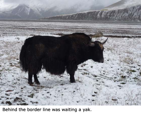 Za hranicemi čekal jak.