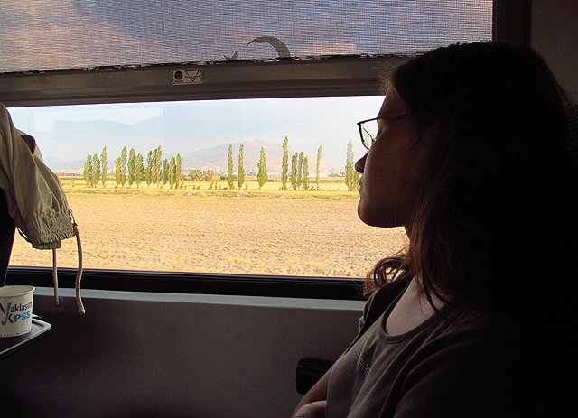 Drobek pozoruje vzácně obdělanou krajinu v údolí řeky Kızılırmak Nehri.