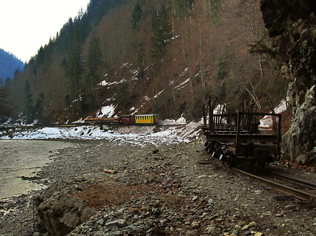 Posun a přistavování prázdných vozů na pilu.