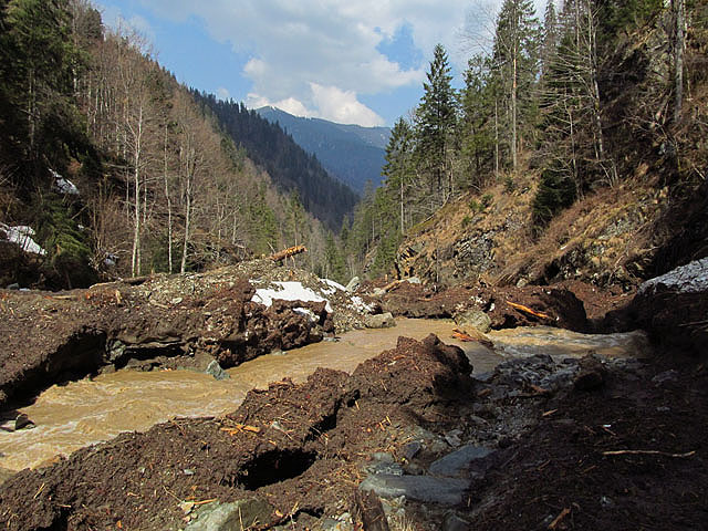 Říčka si razí cestu údolím nevybíravě.