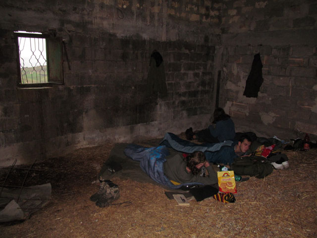 Ráno v holubím domě.