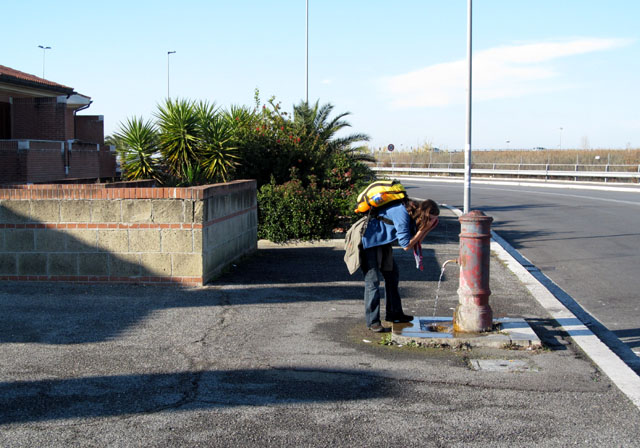 Drobek pije z fontanelly.