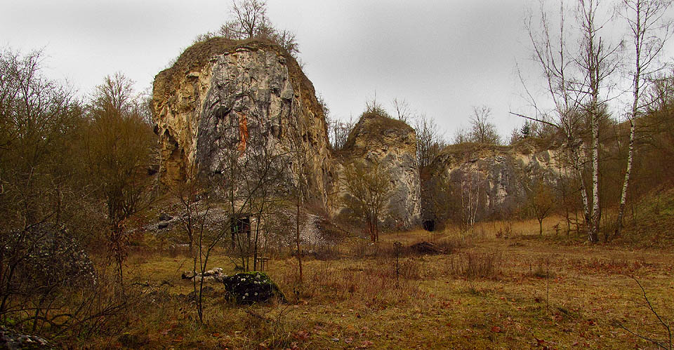 Lom Kobyla je příkladem místa, kde technická činnost člověka zavdala příležitost k životu vzácných druhů i archeologickým objevům. Bývalý lom, který zel jako jizva v krajině, je proto dnes zarůstjící rezervací kde těžba již nepřipadá v úvahu.