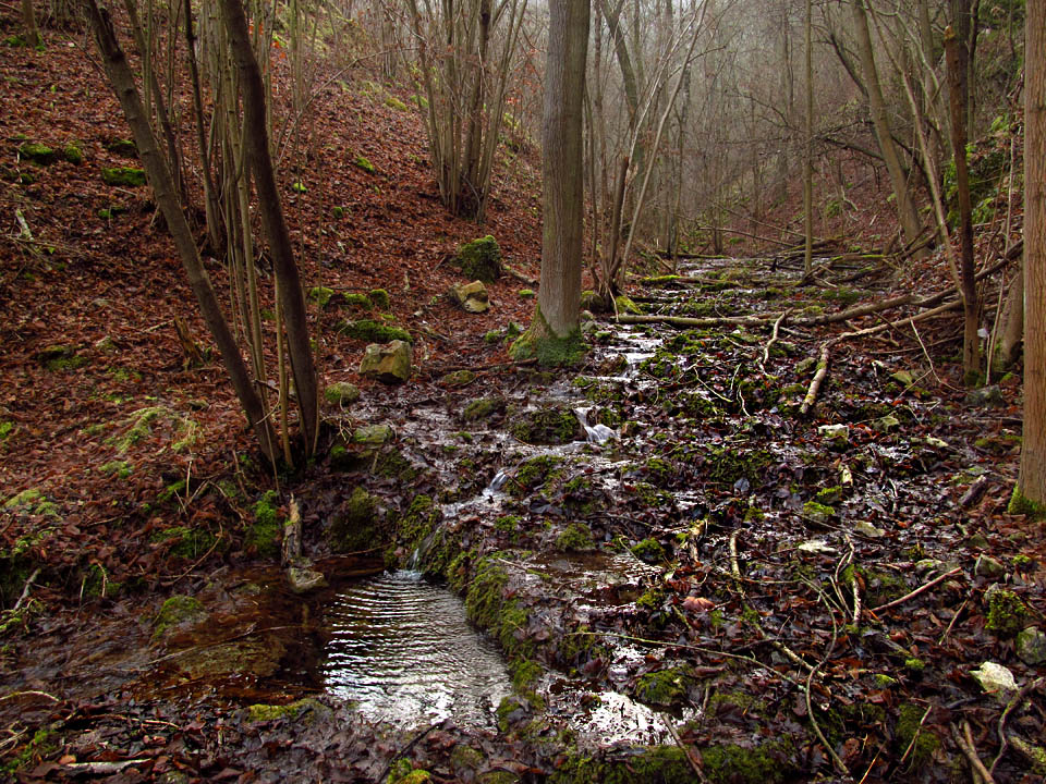 Potok na dně Císařské rokle vytváří zvláštní kaskády a bazénky, snad vlivem rozpuštěného aragonitu. Opatně kráčíme po pěšině vzhůru.