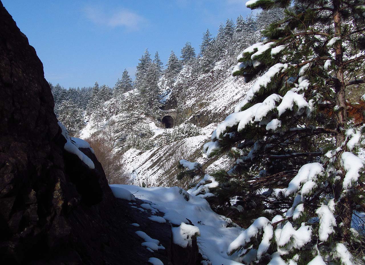 Tunely neobyčejně ozvlášťňují a zkrášlují krajinu.