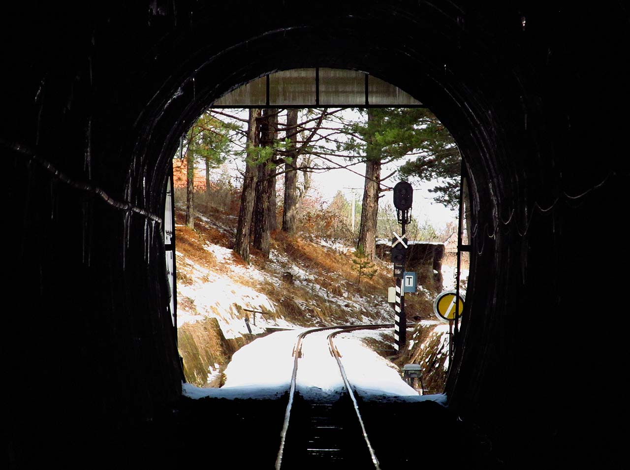 Poslední pohled na světlo světa.