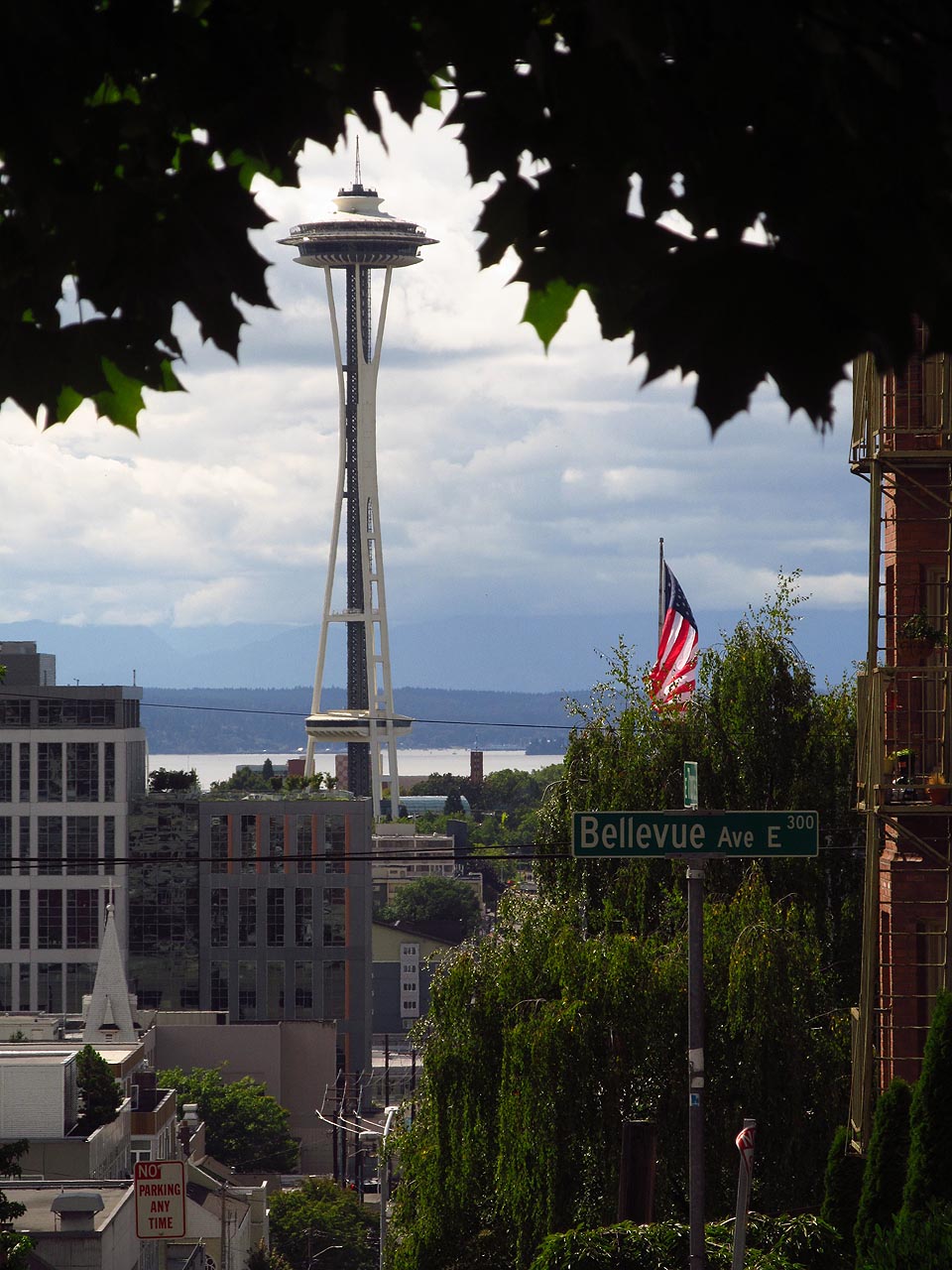Věž zvaná kosmická jehla (Space Needle) pochází z Bruselského období - konkrétně ze světové výstavy v Seattlu v roce 1962. Se svojí výškou 184 metrů byla v té době nejvyšší stavbou na západ od Mississippi.