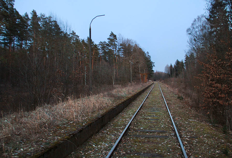 K železniční zastávce a nákladišti Nieznany Bór na okraji Białowieżského pralesa jsme došli prakticky úplně za tmy. Vlaky tu nezastavují už léta, nicméně lze si tu pronajmout pumpovací drezínu, kterou lze celou trať projet. Nešť v létě a s průvodcem.