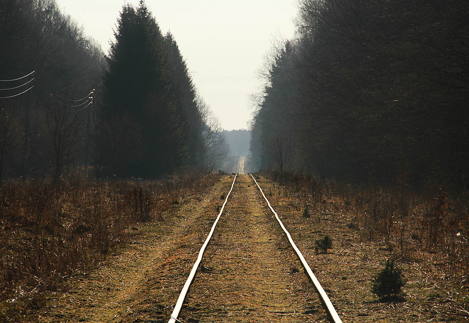 Přespali jsme v zubřím lese (v noci se chodili zubři nedaleko od nás pást) a ráno jsme pokračovali po zrušené dráze Hajnówka – Białowieża, která je páteří národního parku. Na dráze dlouhé skoro 20 km je jediný výraznější oblouk (na fotce cca 4 km před námi), koleje se vlní pouze výškově.