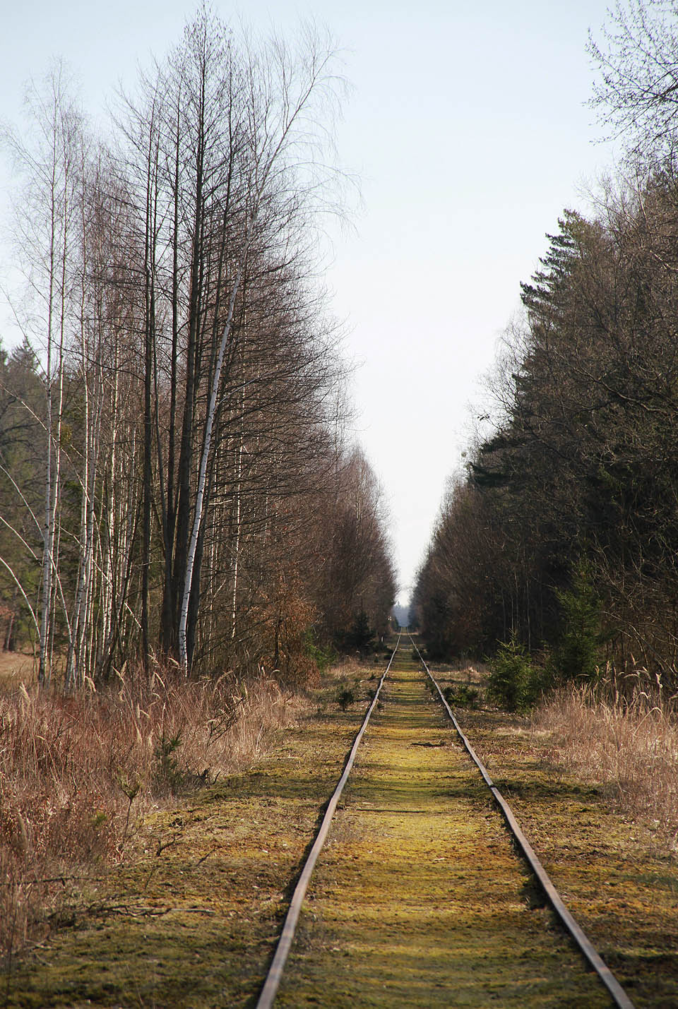 Přestože trať vede rovně jako podle pravítka, není cesta po ní nudná. Krajina se mírně mění, střídají se porosty, bažiny, člověk uvidí mnoho zvěře, a tak je pěší trasa skrz park mnohem zajímavější než cesta turistickým autobusem po souběžné silnici vedoucí asi o 2 km severněji.