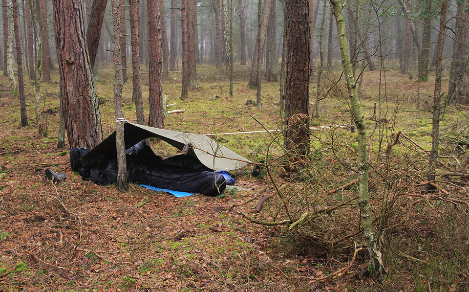 Přístřešek v helském lesíku ráno po probuzení. Mlha ani vítr neustaly.