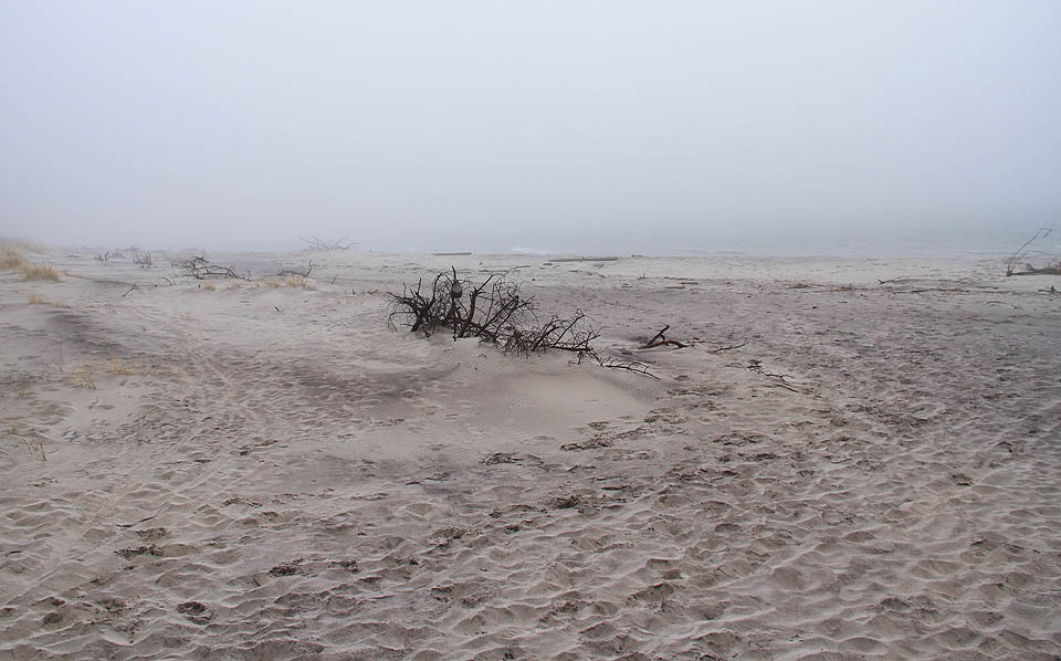 Moře nebylo nejteplejší a místo slunečního svitu foukal ledový vítr. V mlze se ale nebylo třeba převlékat, a tak koupel v Baltském moři po čtvrt století stála opět za to.