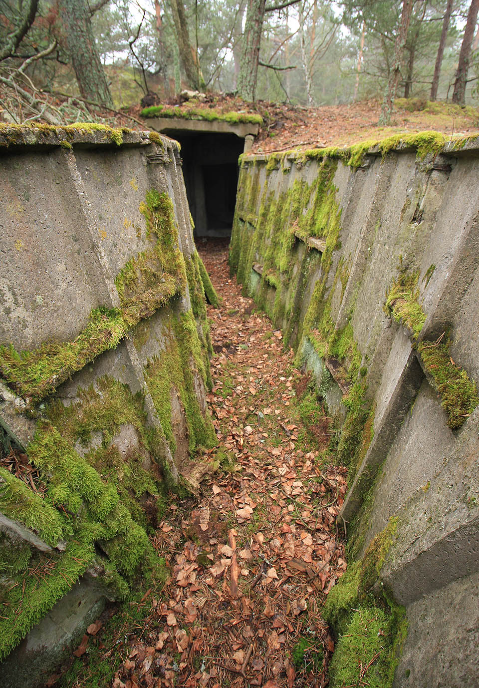 Desítky kilometrů <a href=/Tema/Z%C3%A1kopy%20na%20poloostrov%C4%9B%20Hel>jednoduše vypažených zákopů</a> lemují celou helskou kosu. Místní kluci musí mít o zábavu postaráno minimálně na jedno dětství.