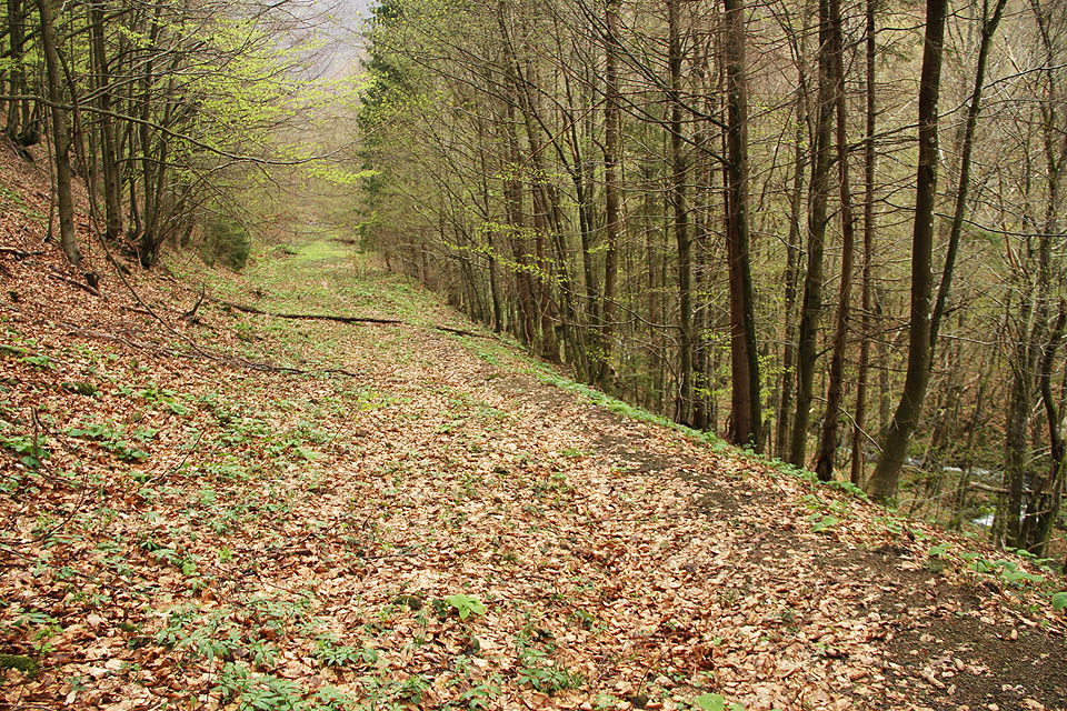 To, co považujeme za těleso zrušené drážky, se později ukazuje být komunikací z dob stavby plynovodu. Zajímalo by mě, zda použili úzkokolejku alespoň pro dopravu potrubí.