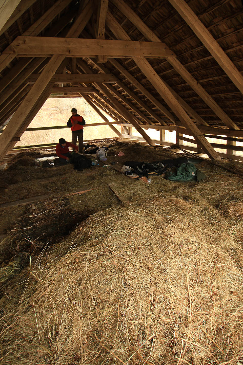 Noc v seníku nad hájovnou jsem přežil jen s obtížemi. Večer jsem dostal zimnici a nemohl jsem přestat kašlat.