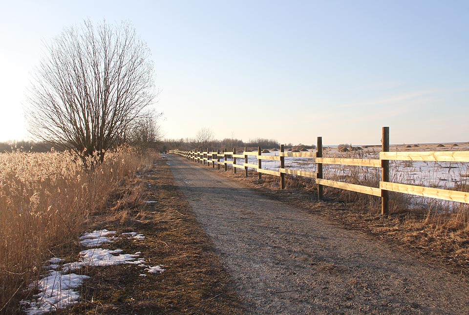 Samotný mys Paljasaare je bažinatým územím nikoho. Zájem o něj měli hlavně vojáci, po jejich odchodu však slouží především různým druhům ptáků, kteří si v bažinách staví svá hnízda, a romantikům k táboření.