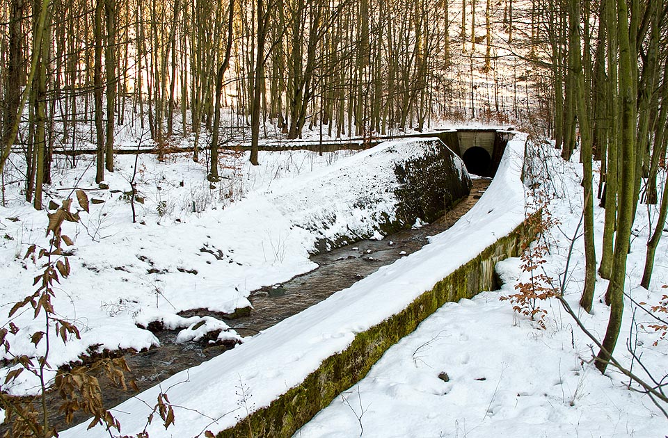 Prohlubující se mělké koryto Šramnického (a Srnčího) potoka před soutokem s Černickým potokem (vlevo) a vtokem do štoly.