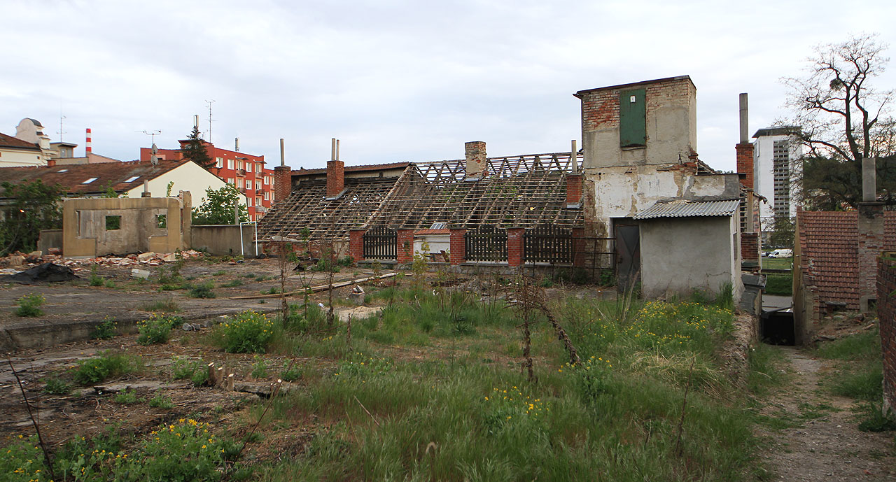 Již několik let se v prostoru za domem, kdysi přístupným jen úzkou uličkou vedle sousední stavby, prohání pouze zajíci a kočky. Oáza klidu v rušném městě ale brzy vezme za své.