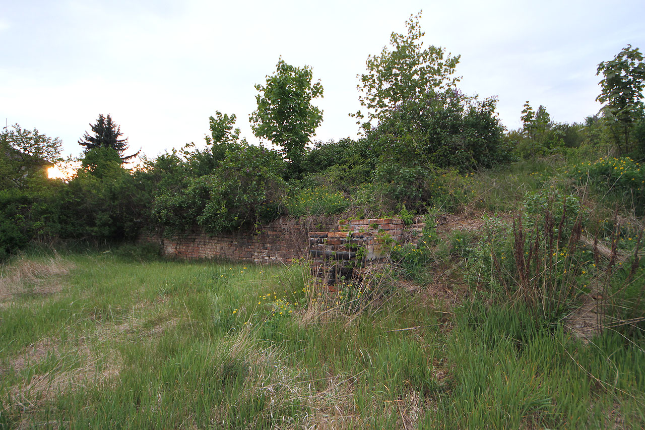Snad nejhezším typem městské krajiny jsou opuštěné zahrady; jedinečná směs divočiny a historických staveb pohlcovaných vegetací. Přítomnost podzemních chodeb z tohoto místa přímo čiší.