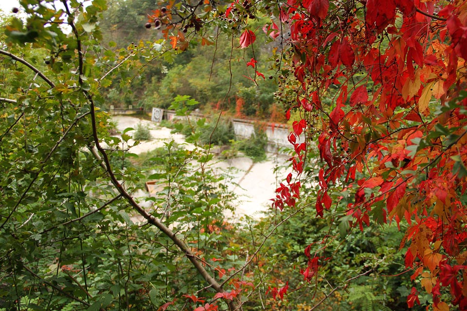 Zasněný pohled na bazén pod Barrandovem.