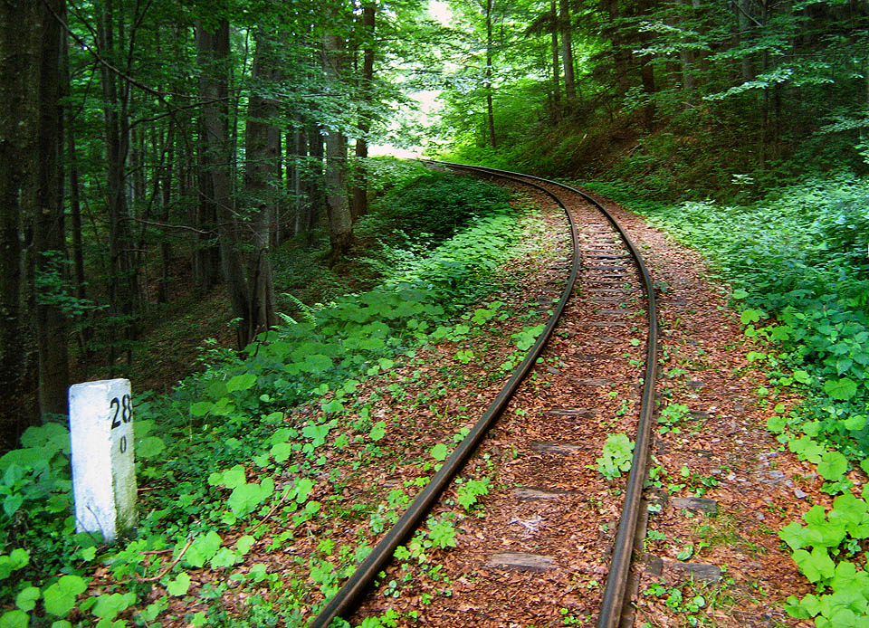 Zpátky do nižších poloh. Nejtajemnější a nejpustší úsek trati nad dravými potoky a pod šumícími stráněmi v opuštěné krajině blízko hranice. Stanička Balnica nemá budovu ani návěstidla.