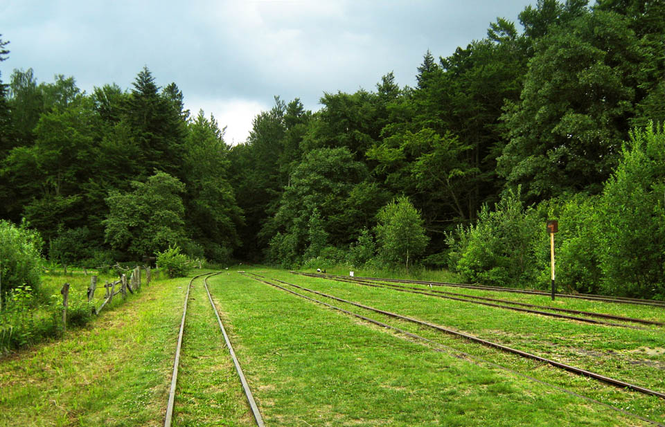 Většina turistů opuštěnou stanicí Balnica jen projíždí. Vystoupí jen ti, kteří dovedou přežít dny v přítmí lesa pod kmeny obrovitých karpatských buků, pít vodu z potůčků a brouzdat se vrstvami tlejícího listí.
